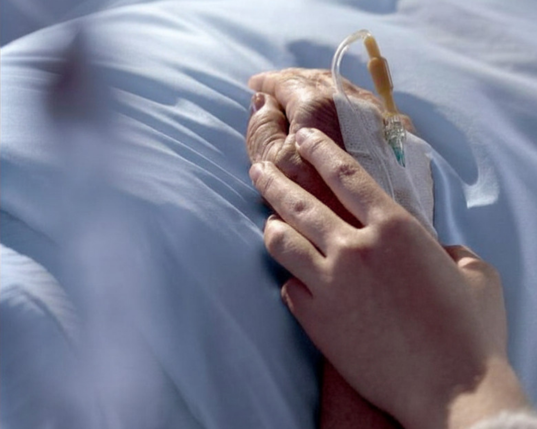 Mini-scholing euthanasie