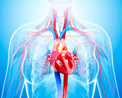 HartVaatHAG Congres 2026: Zullen we er samen naar kijken?